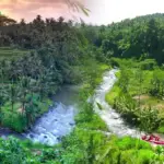 Sungai Ayung: Panduan Lengkap Wisata Adventure & Rafting Terbaik di Ubud, Bali